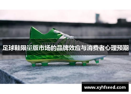 足球鞋限量版市场的品牌效应与消费者心理预期